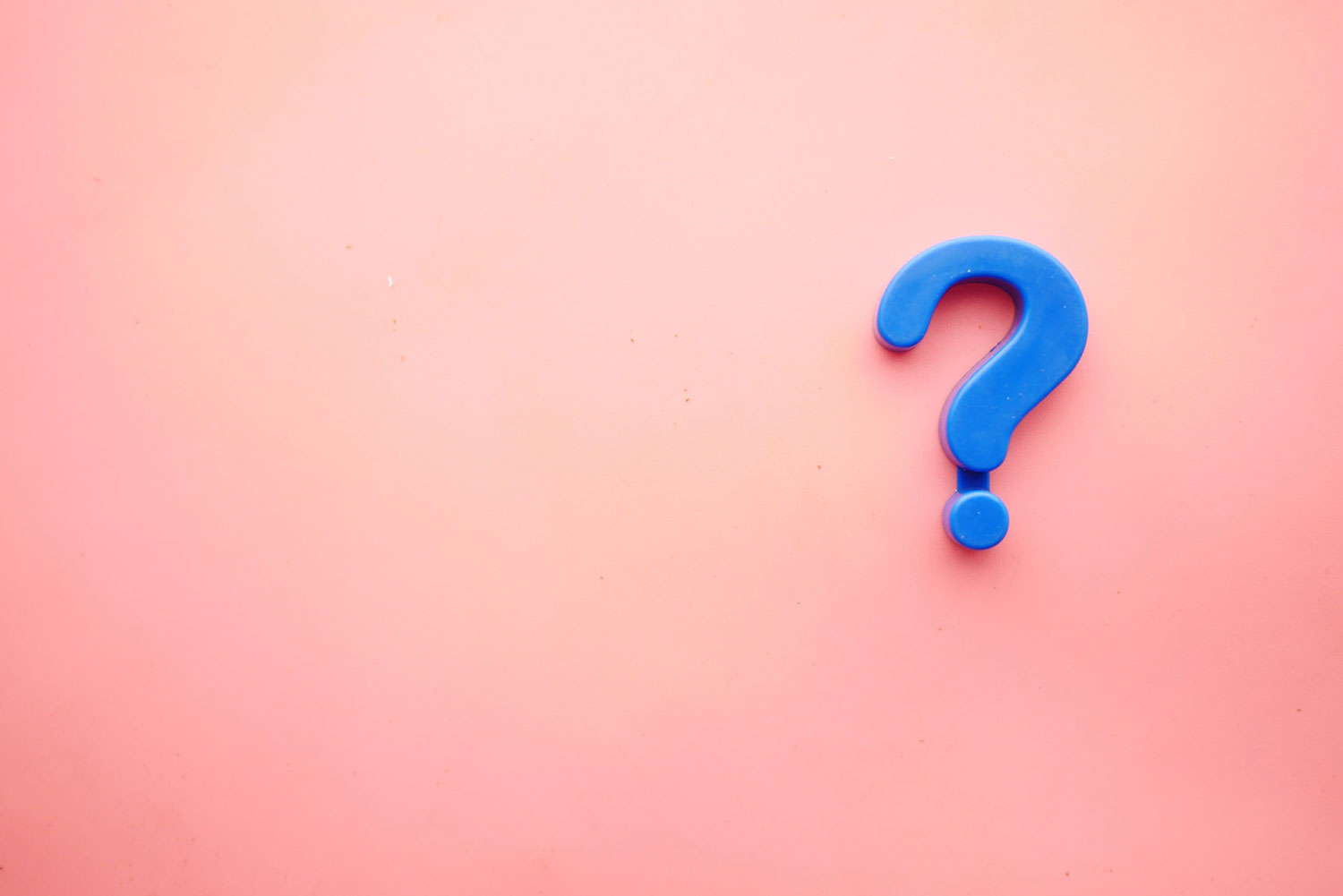 web designer questions