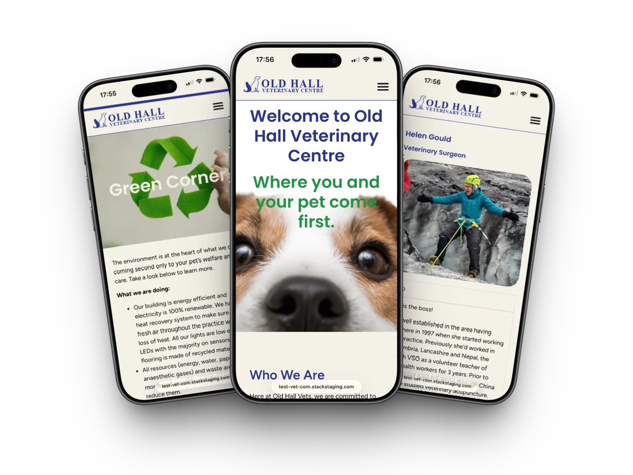old hall vets website project mobile triple